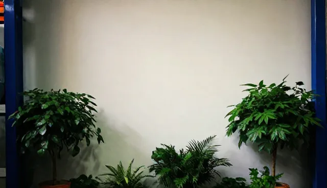 北京一日游包车车型选择的适用条件与依据