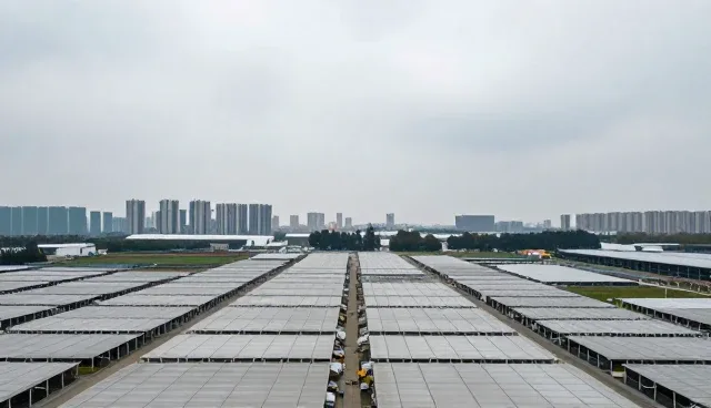 技术支持如何影响业务发展趋势的关键因素分析