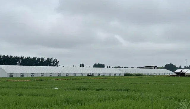 性能优化中的成本控制策略与适用场景