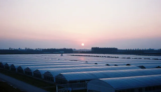 提升数据准确性，AI搜索优化套餐A的选型建议