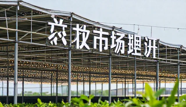 为什么网络较为完善仍需数据分析？