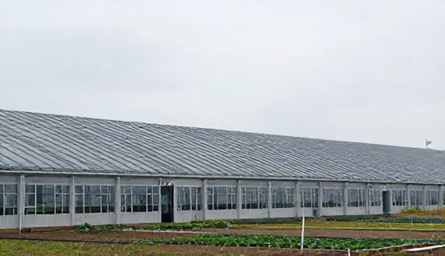 影视策划中媒介投放等应用的适用条件与选择依据