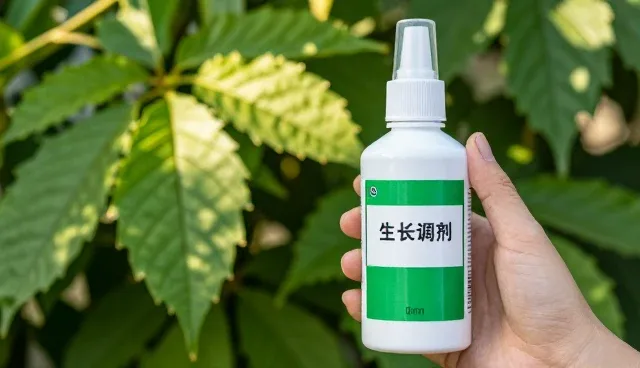 农产品收购中植物生长调节剂的使用问题及应对策略