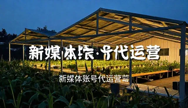 新媒体账号代运营中的选型关注点与实际操作环节