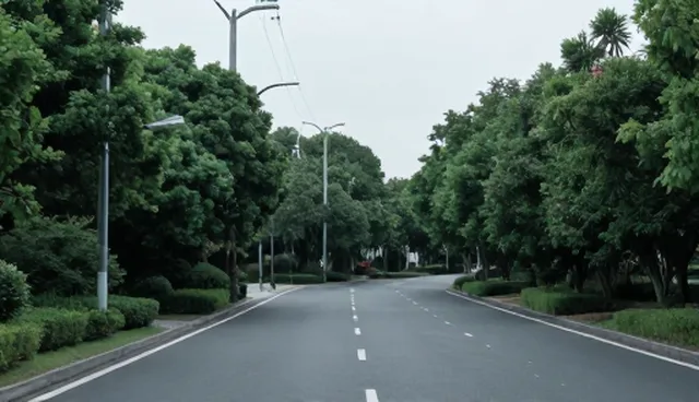 会议接待服务中理解偏差的常见问题及处理方法
