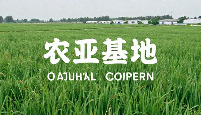 媒介投放中提升用户互动的实用建议