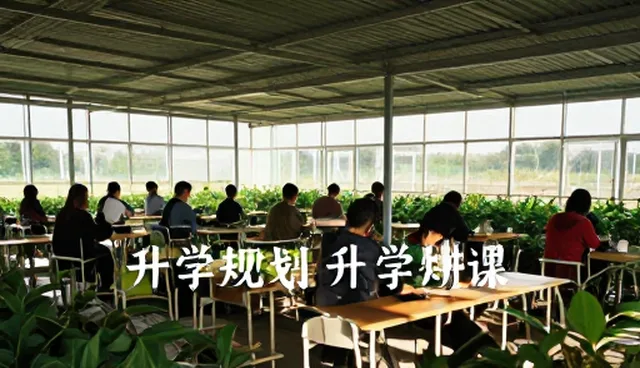 学习规划缺失如何影响考试结果