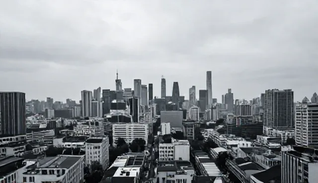 技术转让中的风险规避与外包合作策略