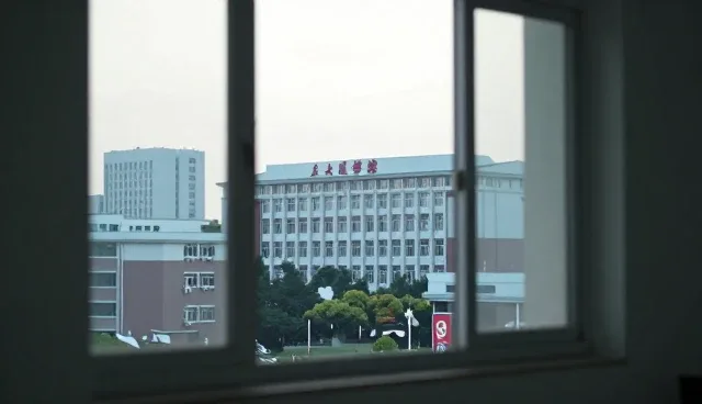 不同规模产品选型时的常见问题与应对建议