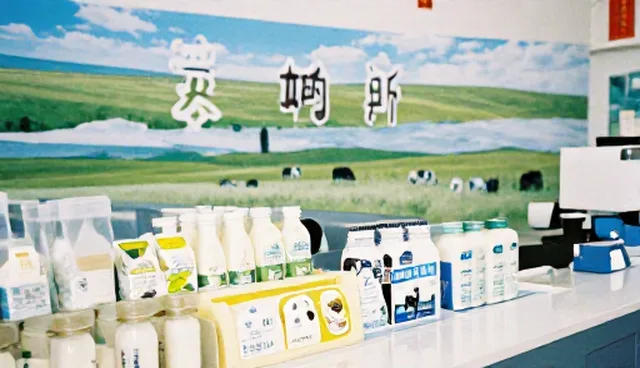 服务响应机制选型关注点及优化方向