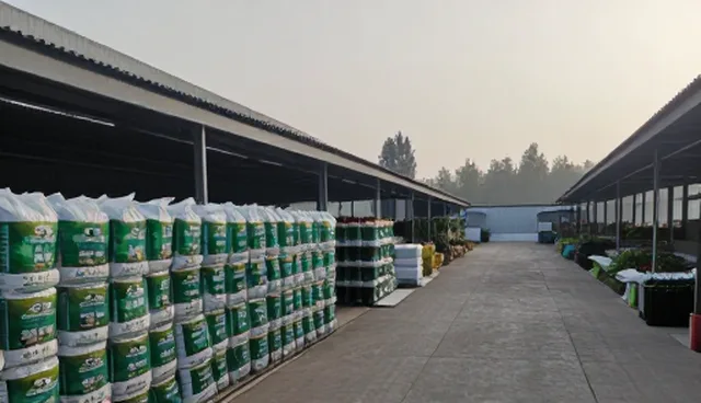 有机肥在种苗供应中的正确选型与使用建议