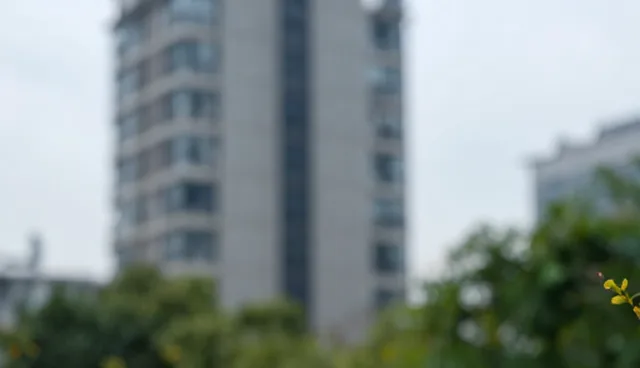 短视频运营：服务器优化方案对业务发展的影响