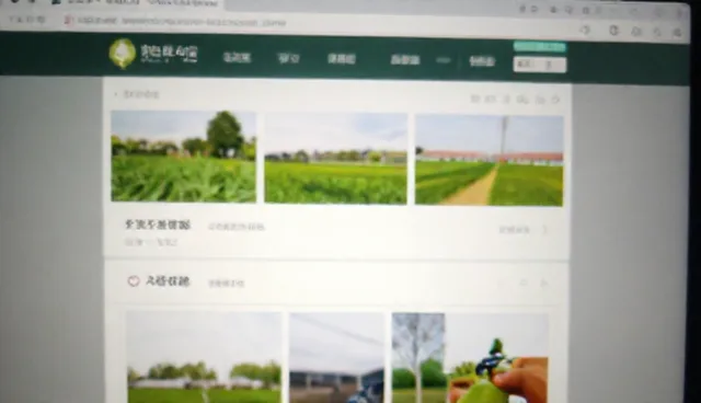 选品决策中的渠道分销问题及优化方向