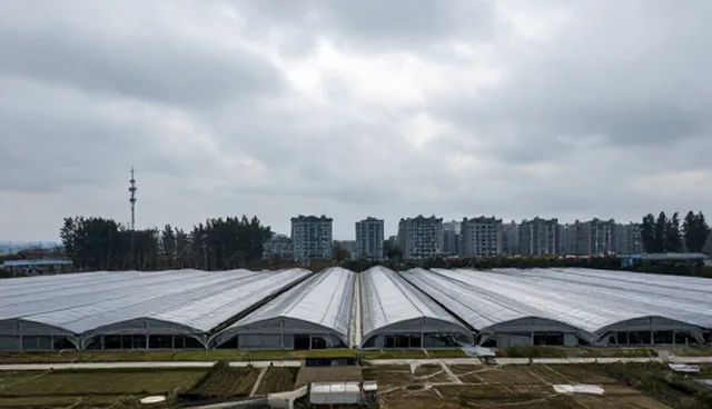 财税咨询业务如何应对会务中的常见问题？