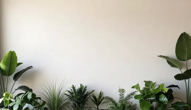 慢病随访服务中患者依从性不足的原因分析