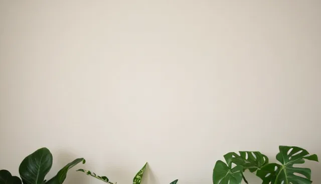 配件供应使用与维护建议的常见问题处理