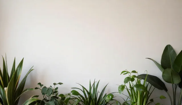 安装调试中设备性能优化的影响因素分析