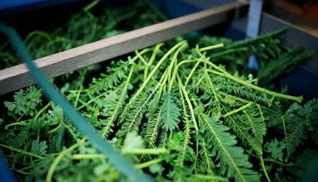 终端商户资金管理中支付方式选择的影响因素分析
