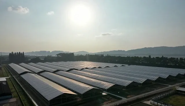 短视频运营中成本控制的影响因素分析