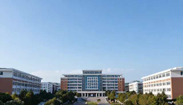 SEO优化误区解析：选型关注点需精准把控
