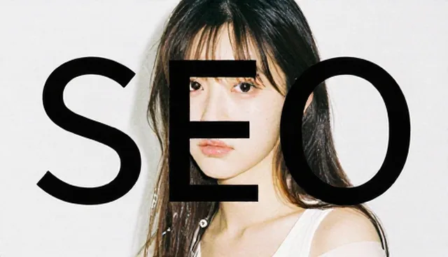 SEO优化：选型关注点分析业务趋势