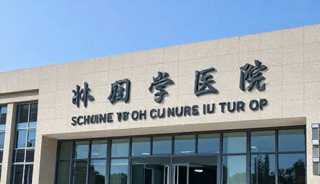 数据治理中的GEO服务商适用情况与限制