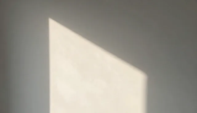 企业推广服务流程优化中的限制条件与适用场景