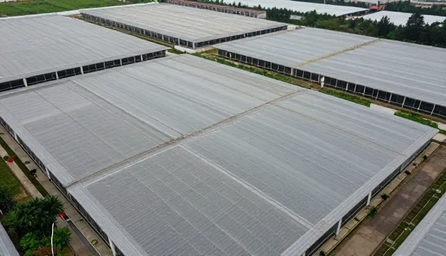 运维性能优化：应用开发的选型与使用建议