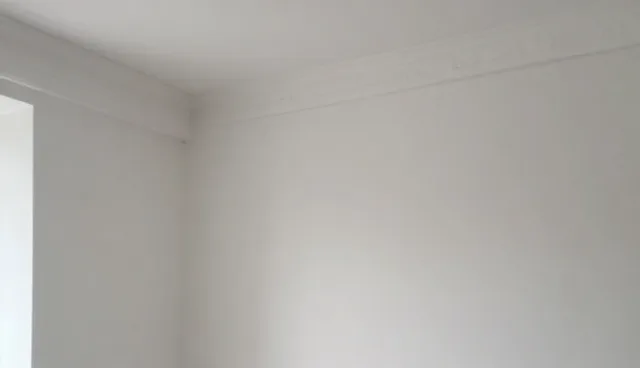 标准化仓储服务如何提升货物运输效率