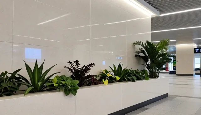 技术开发场景下的使用与维护建议