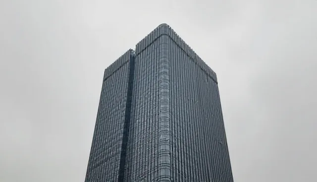 处理建议中的常见问题与检查要点解析