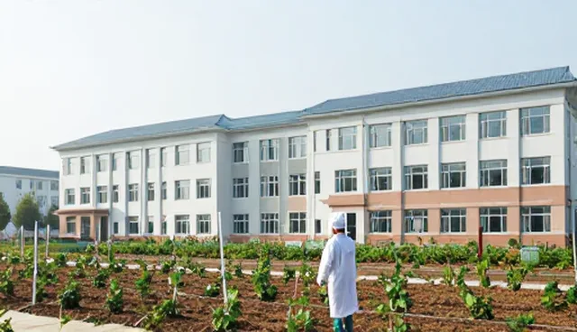 中药材种植过程中如何选择优质种苗？