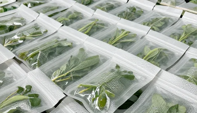 农机服务选型关注点：农机与人力的取舍比较