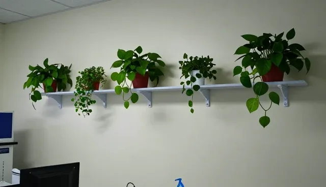 安装调试方案需关注操作规范与适用限制