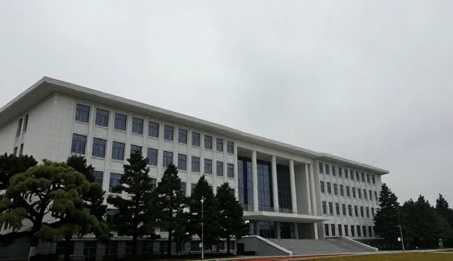 技术咨询中理解偏差的适用条件与选择依据