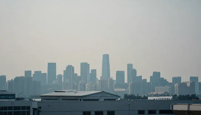 代理策略中的常见问题及应对方法